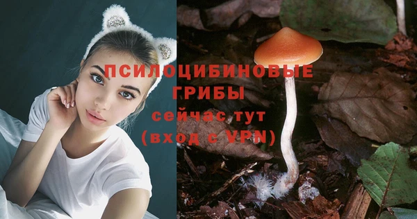 молекула духа Баксан