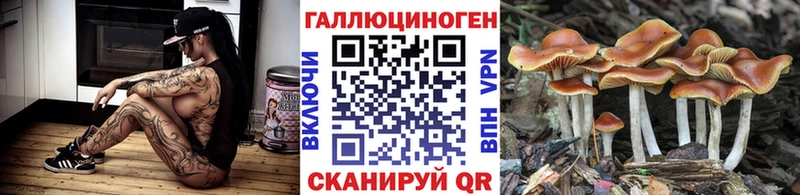 площадка официальный сайт  наркота  Ленинск-Кузнецкий  Галлюциногенные грибы ЛСД 
